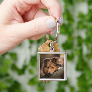 Cutest Baby Animals Shetland Sheepdog Puppy Key Ring