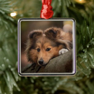 Cutest Baby Animals   Shetland Sheepdog Puppy Metal Tree Decoration