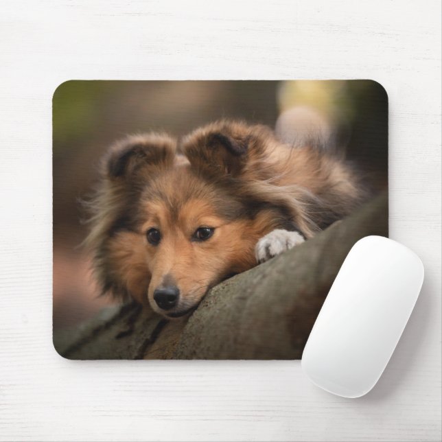 Cutest Baby Animals | Shetland Sheepdog Puppy Mouse Pad (With Mouse)