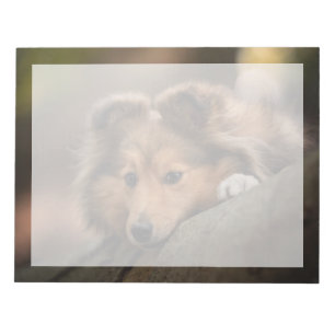 Cutest Baby Animals Shetland Sheepdog Puppy Notepad