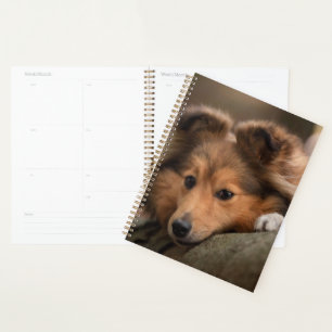Cutest Baby Animals   Shetland Sheepdog Puppy Planner