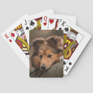 Cutest Baby Animals Shetland Sheepdog Puppy Playing Cards