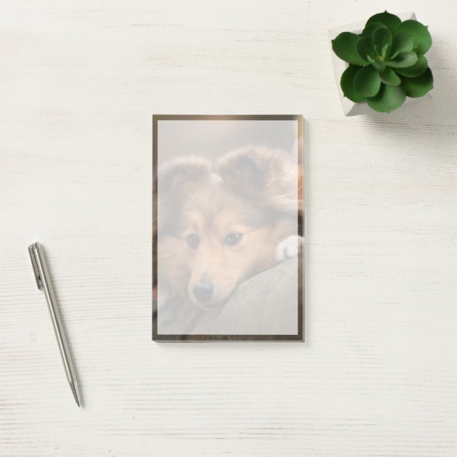Cutest Baby Animals | Shetland Sheepdog Puppy Post-it Notes (Office)