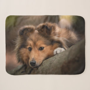 Cutest Baby Animals Shetland Sheepdog Puppy Sherpa Blanket