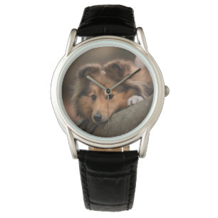 Cutest Baby Animals Shetland Sheepdog Puppy Watch