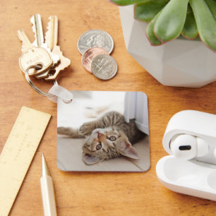 Cutest Baby Animals Shorthair Tabby Kitten Key Ring