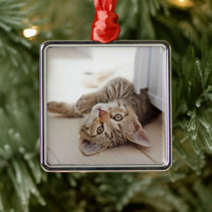 Cutest Baby Animals Shorthair Tabby Kitten Metal Tree Decoration