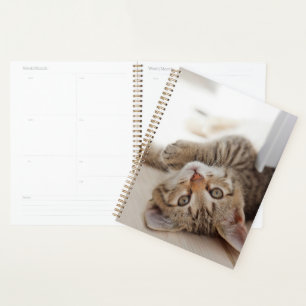 Cutest Baby Animals Shorthair Tabby Kitten Planner