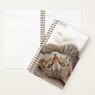 Cutest Baby Animals Shorthair Tabby Kitten Planner