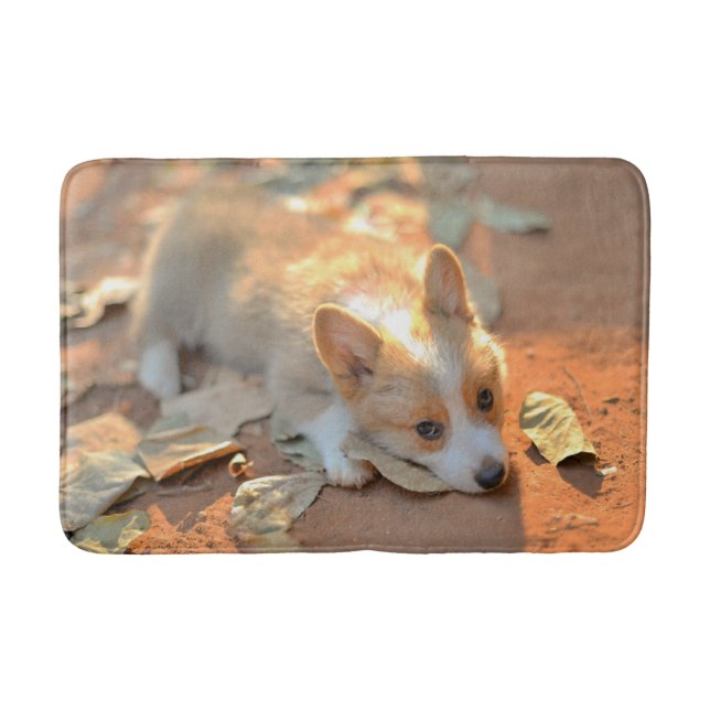 Cutest Baby Animals | Shy Corgi Bath Mat (Front)