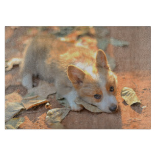 Cutest Baby Animals   Shy Corgi Cutting Board