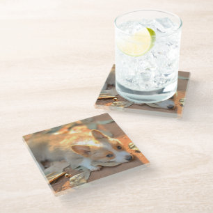 Cutest Baby Animals Shy Corgi Glass Coaster