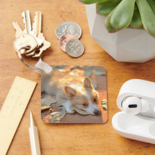 Cutest Baby Animals   Shy Corgi Key Ring