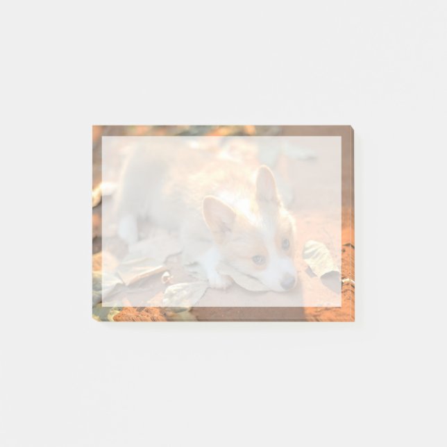 Cutest Baby Animals | Shy Corgi Post-it Notes (Front)