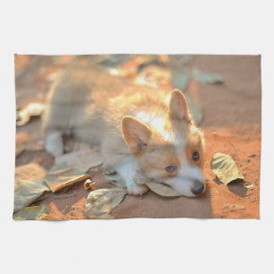 Cutest Baby Animals   Shy Corgi Tea Towel