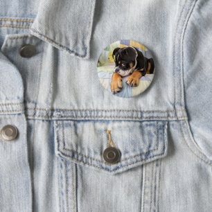 Cutest Baby Animals   Shy Old English Bulldog 6 Cm Round Badge