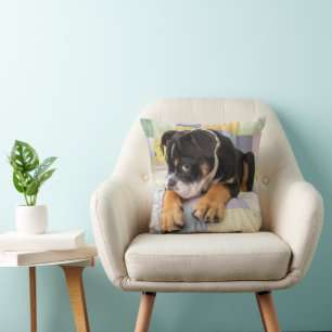 Cutest Baby Animals Shy Old English Bulldog Cushion