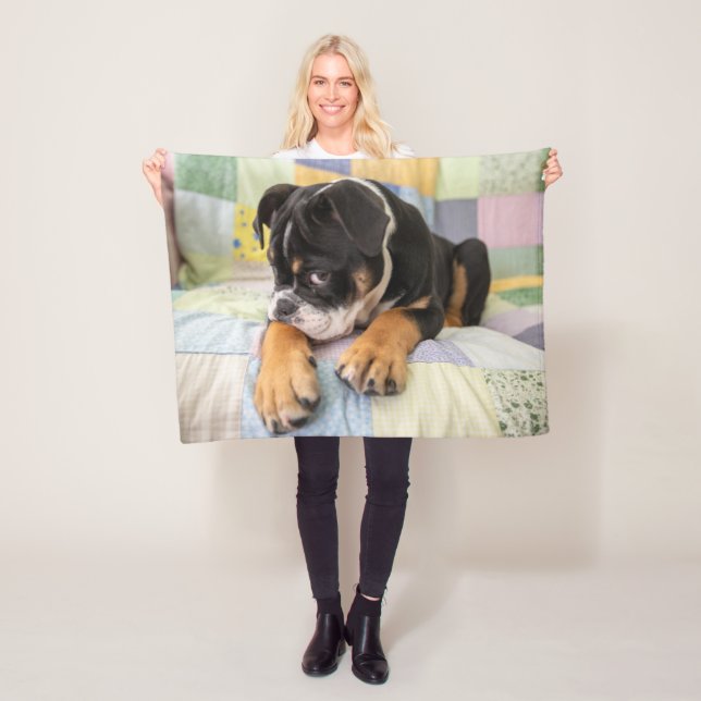 Cutest Baby Animals | Shy Old English Bulldog Fleece Blanket (In Situ)