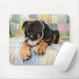 Cutest Baby Animals Shy Old English Bulldog Mouse Pad