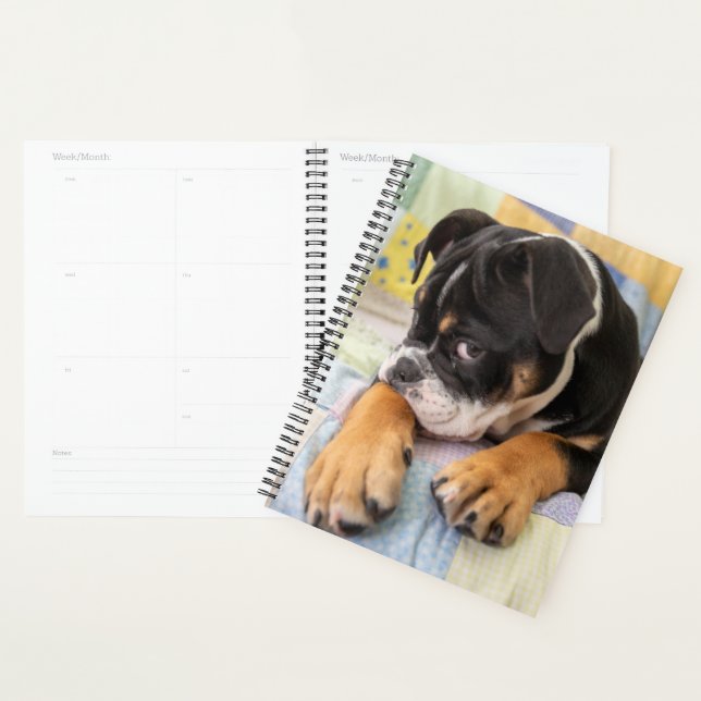 Cutest Baby Animals | Shy Old English Bulldog Planner (Display)