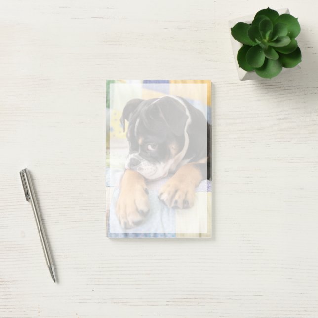 Cutest Baby Animals | Shy Old English Bulldog Post-it Notes (Office)