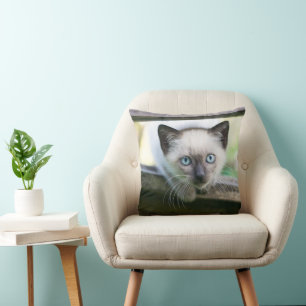 Cutest Baby Animals Siamese Kitten 2 Cushion