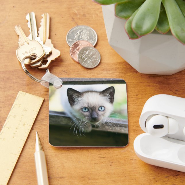 Cutest Baby Animals | Siamese Kitten 2 Key Ring (Desk)