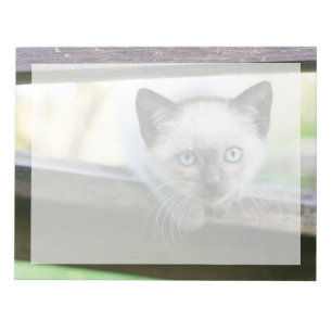 Cutest Baby Animals Siamese Kitten 2 Notepad