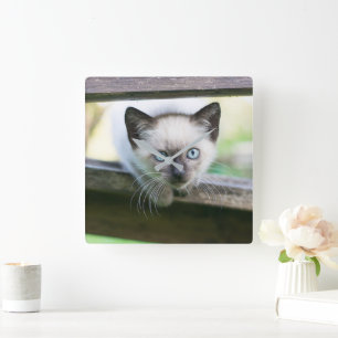 Cutest Baby Animals Siamese Kitten 2 Square Wall Clock