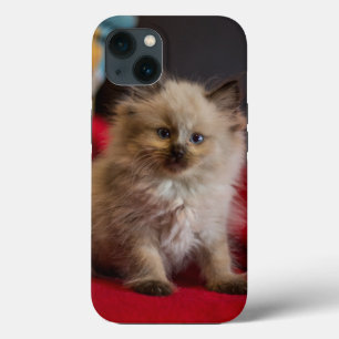 Cutest Baby Animals Siamese Kitten iPhone 13 Case