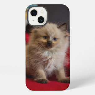 Cutest Baby Animals Siamese Kitten iPhone 13 Case