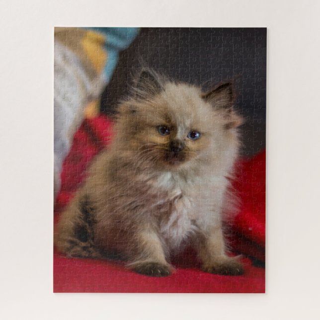Cutest Baby Animals | Siamese Kitten Jigsaw Puzzle (Vertical)