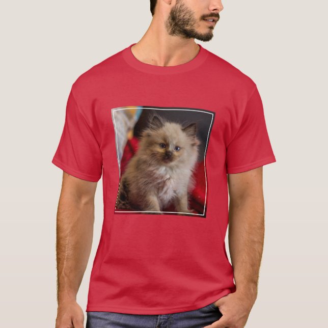 Cutest Baby Animals | Siamese Kitten T-Shirt (Front)