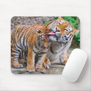 Cutest Baby Animals   Siberian Tiger Family Mouse Pad
