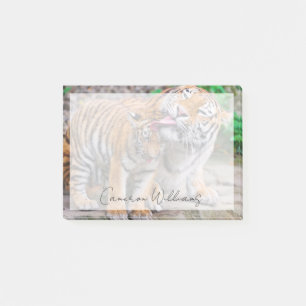 Cutest Baby Animals   Siberian Tiger Family Post-it Notes