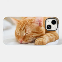 Cutest Baby Animals | Sleeping Ginger Cat