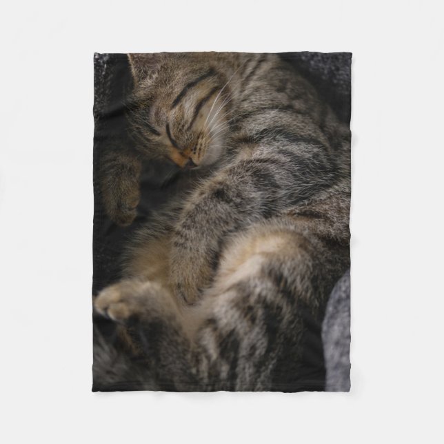 Cutest Baby Animals | Sleeping Tabby Cat Fleece Blanket (Front)