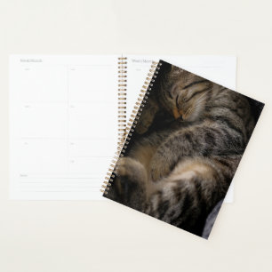 Cutest Baby Animals Sleeping Tabby Cat Planner