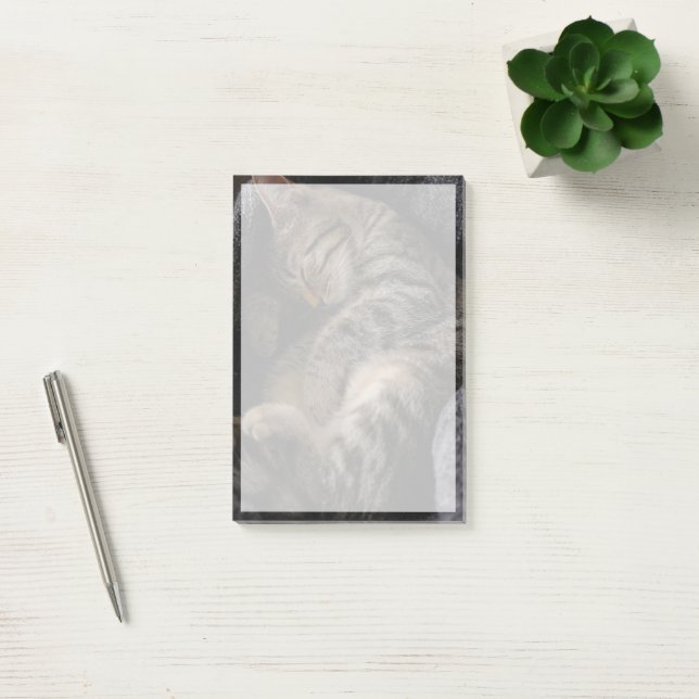 Cutest Baby Animals | Sleeping Tabby Cat Post-it Notes (Office)