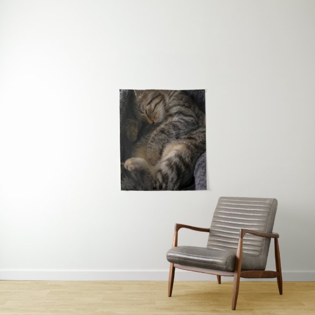 Cutest Baby Animals | Sleeping Tabby Cat Tapestry (In Situ)