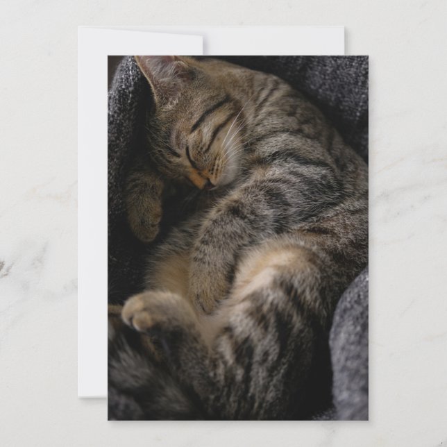 Cutest Baby Animals | Sleeping Tabby Cat Thank You Card (Front)