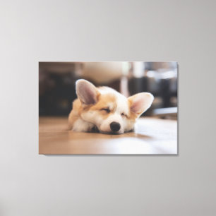 Cutest Baby Animals Sleepy Corgi Canvas Print