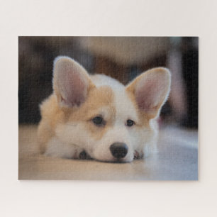 Cutest Baby Animals   Sleepy Corgi Puppy Jigsaw Puzzle