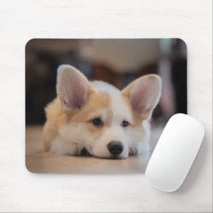 Cutest Baby Animals Sleepy Corgi Puppy Mouse Pad