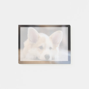 Cutest Baby Animals Sleepy Corgi Puppy Post-it Notes