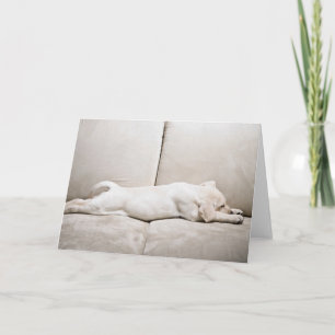 Cutest Baby Animals Sleepy Yellow Labrador Puppy Card