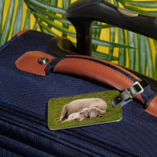 Cutest Baby Animals Smiling Sleeping Lamb Luggage Tag