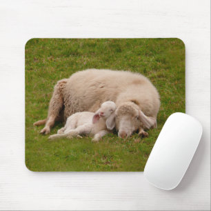 Cutest Baby Animals   Smiling Sleeping Lamb Mouse Pad
