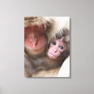 Cutest Baby Animals Snow Monkey Canvas Print