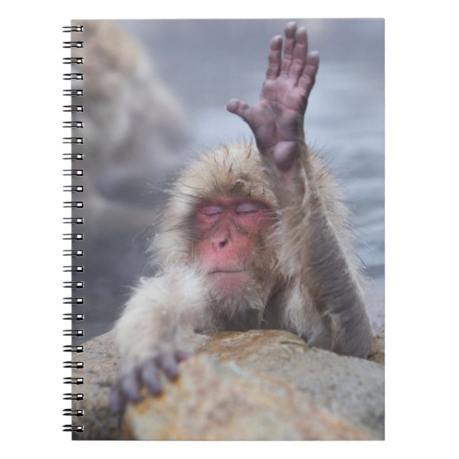 Cutest Baby Animals | Snow Monkey Face Notebook (Front)